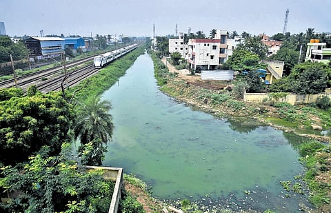 Sewage from households and effluents from industries continue to pollute Korattur lake. (Photo | P Jawahar)