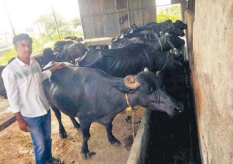 MS Sangamesh of Vijayapura