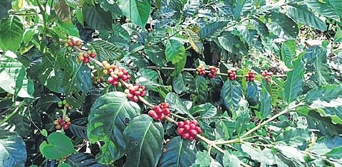 For representational purposes