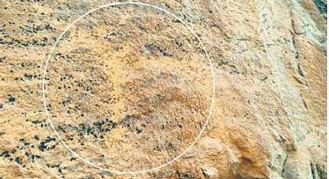 Rock bruising (etching) of a stag and man dating back to Neolithic period.