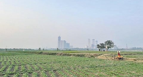 representative picture