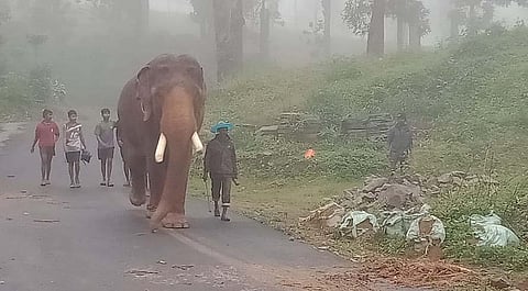 Representational image