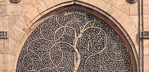 Tree of Life jali, Sidi Sayyid Mosque, Ahmedabad, Gujarat, 1572–73.( Photo | Abhinav Goswami)