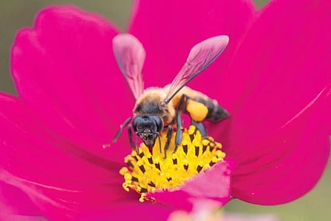 Image used for representational purposes only