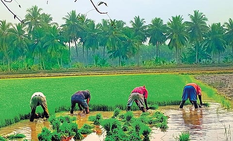 For representational purposes