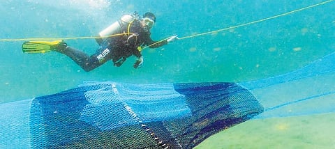 Dhiju Das conducting underwater study of turtle excluder device fitted on a trawl net off Poovar coast