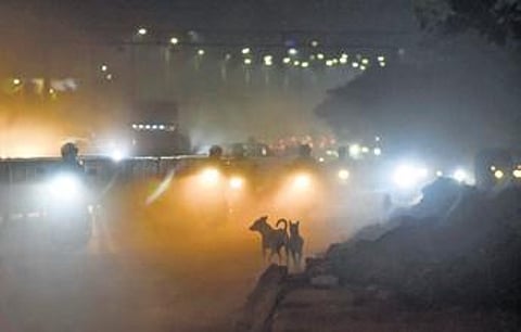 A thick layer of dust hangs in the air on NH-16 at Nayapalli | DEBADATTA MALLICK
