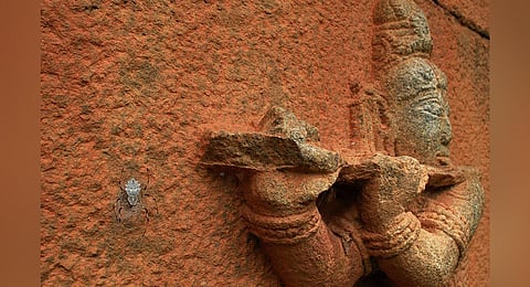 Vihaan's photograph that won him the award.