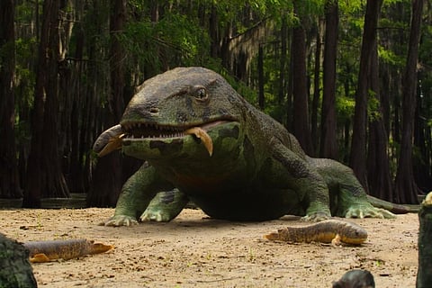 A still from 'Life on Our Planet'