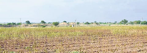 Andhra Pradesh registers large deficient rainfall during North East Monsoon