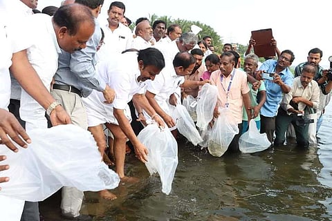 A scheme to stock native fish chicks in rivers is currently being implemented by the Department of Fisheries. (Photo | Express)