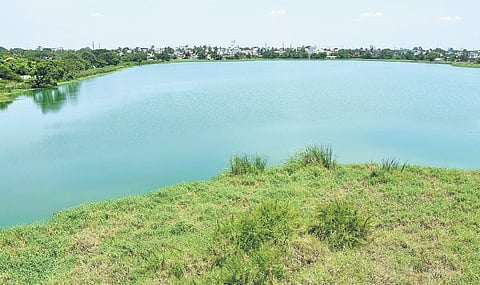 Rangarajapuram lake in Tambaram | Ashwin Prasath