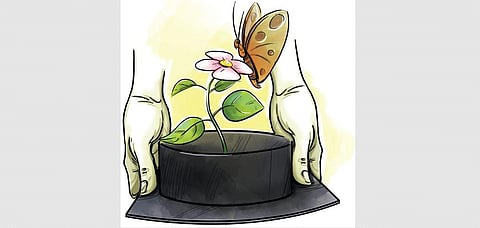 Image used for representational purpose only. (Express IIlustration)