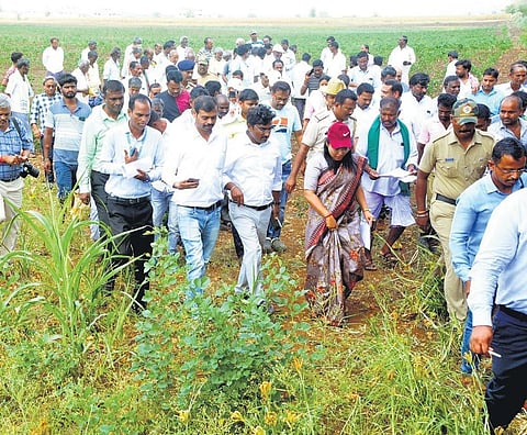 Members of the inter-ministerial Central study team inspect an agriculture field in Gadag district on Saturday to assess the drought situation