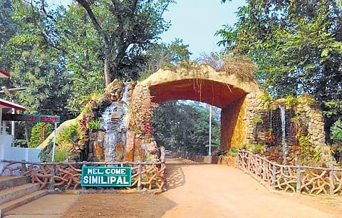 File photo of the Similipal Tiger Reserve