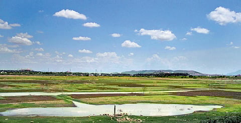 Image used for representational purposes only.