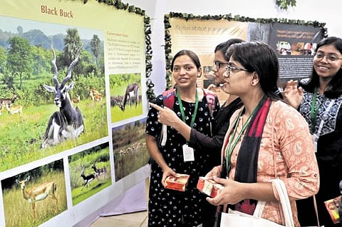 Visitors going round a photo exhibition held on State Level Wildlife Week 2023 in Bhubaneswar on Saturday | Shamim Qureshy