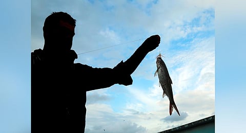 Image used for representational purposes only. (Photo | EPS)