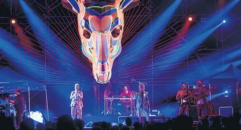 Echoes of Earth focuses on the Western Ghats, this year!