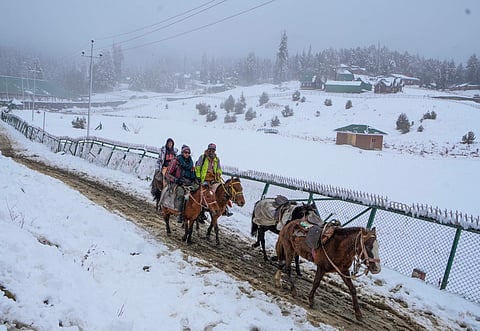 The season's first snowfall was an unexpected bonus for tourists (Image | PTI)