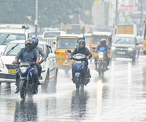 The northeast monsoon, which commenced a bit late this year in the last week of October, has been subdued so far. (Photo | Ashwin prasath, EPS)