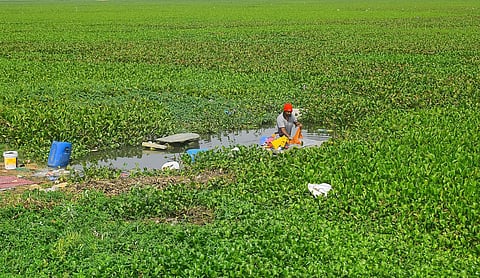 Image used for representational purposes.