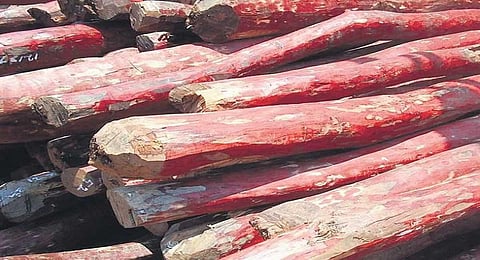 India exempted from global body’s review obligation on red sanders