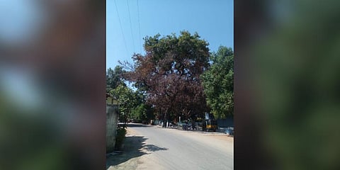 For representational purposes