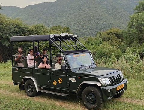 Tourists take a safari ride near Male Mahadeshwara Hills. (Photo | Express)