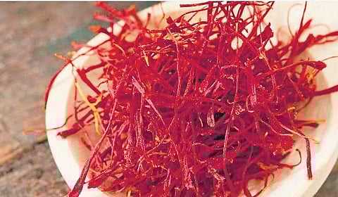 Saffron sun dried after plucking
