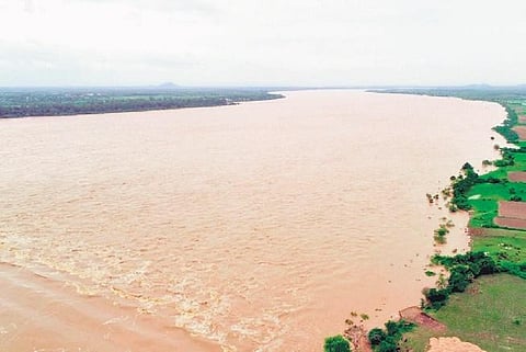 Picture credits: Express