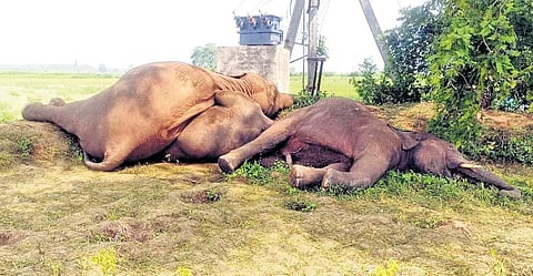 Image used for representational purpose only.