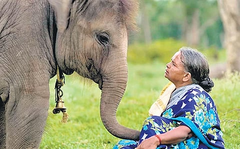 A still from the documentary 'The Elephant Whisperers' for representative purposes