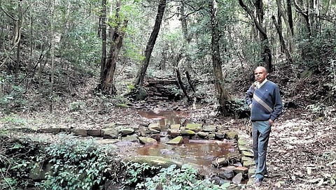 KJ Raju, a retired teacher, tirelessly works to preserve the forest cover in Kotagiri | express