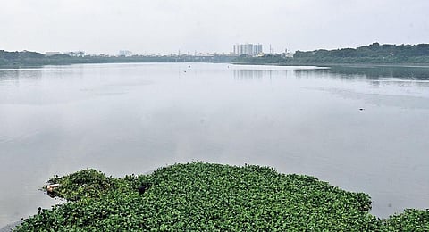 The water resources department recently submitted a detailed project report for the construction of 10 additional channels in south Chennai | Martin Louis