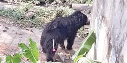 Image used for representational purposes