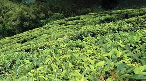 Image used for representational purposes only