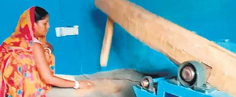 A woman using mechanised ‘Dheki’ for thresing in Jharkhand | express