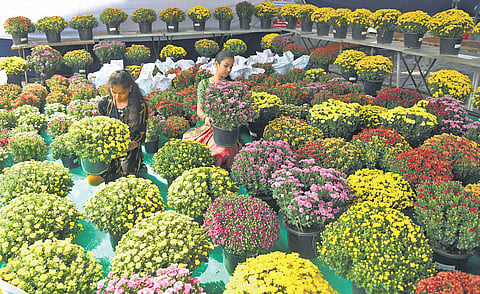 Image used for the representational purpose.