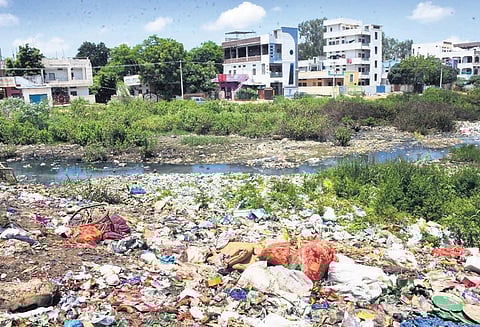Lack of a permanent dumpyard is a major problem in Sangareddy town. (Photo | Express)