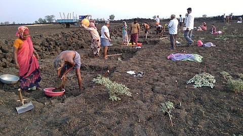 As monsoon failed and farm work ended early, migration of people in the workable age group started to rise across Gadag district. (Photo | Express)