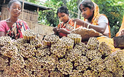 Image of bidi rolling work done by women