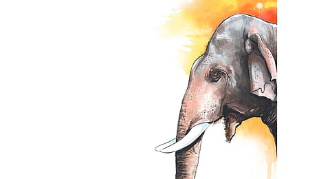 Image used for representational purpose only. (Express Illustration)