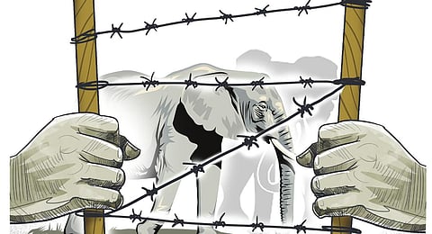 Image used for illustrative purposes.