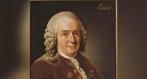 Carl Linnaeus.