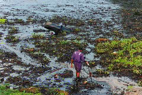 A worker cleans after an oil spill in the Bay of Bengal off the Ennore Creek area in the aftermath of Cyclone Michaung, near Chennai on Tuesday, December 12, 2023. (Photo | PTI)