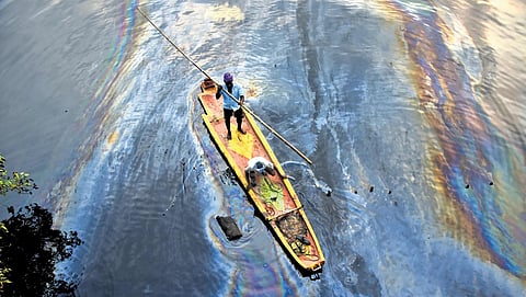 Fishermen rowing through an oil patch in Ennore creek on Dec 11, 2023. (Photo | P Ravikumar)