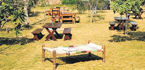 At Bhumi farm and restaurant