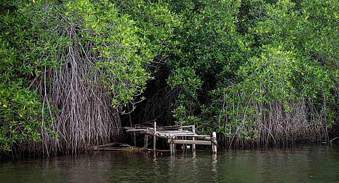 Little-known Lankan leisures