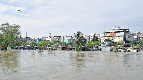 Adyar Estuary which is surrounded by thickly populated areas has shrunk due to large-scale constructions | SHIBA PRASAD SAHU